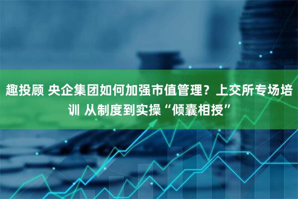 趣投顾 央企集团如何加强市值管理？上交所专场培训 从制度到实操“倾囊相授”
