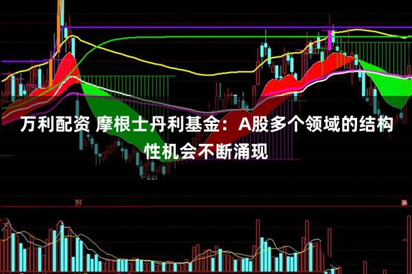 万利配资 摩根士丹利基金：A股多个领域的结构性机会不断涌现