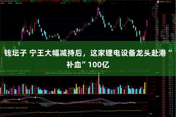 钱坛子 宁王大幅减持后，这家锂电设备龙头赴港“补血”100亿