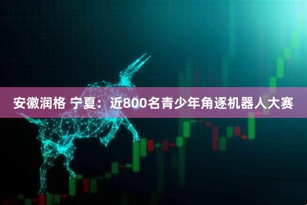 安徽润格 宁夏：近800名青少年角逐机器人大赛